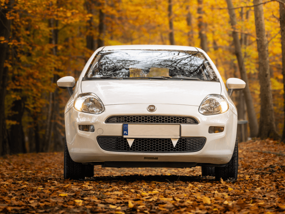 Fiat Grande Punto shark teeth
