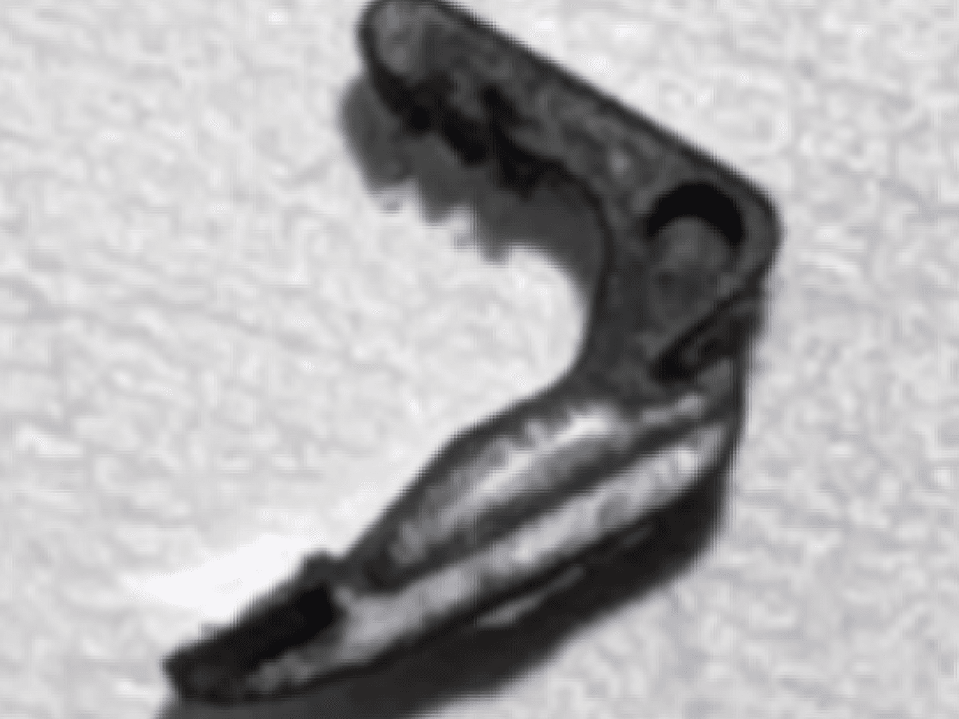 2004-2008 Ford F150 Windshield Trim Retainer Clip