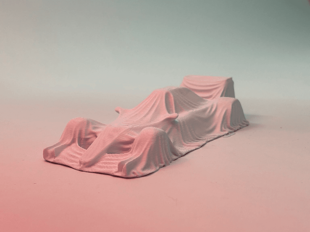 Formula 1 coperta da telo - esposizione