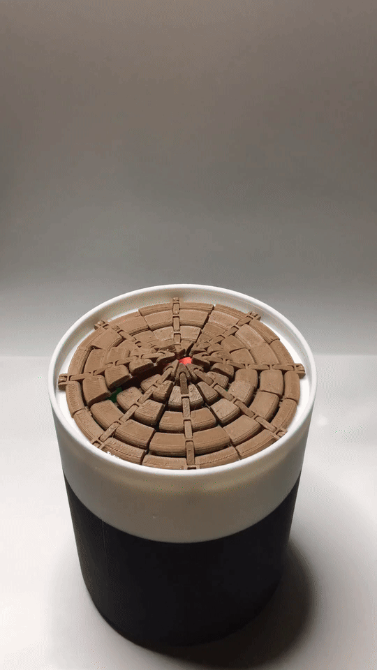 Growing Potted Plant Flowerpot