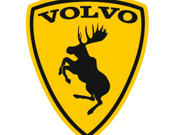 volvo keychain 2 colors