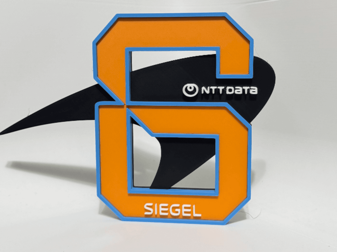Nolan Siegel #6 NTT DATA McLaren IndyCar  Sign