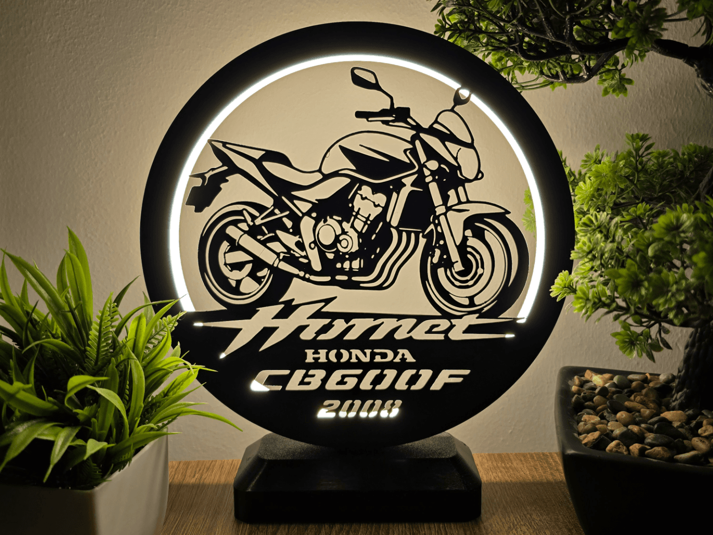 Ring LED Lamp - Honda Hornet CB600F - 2008