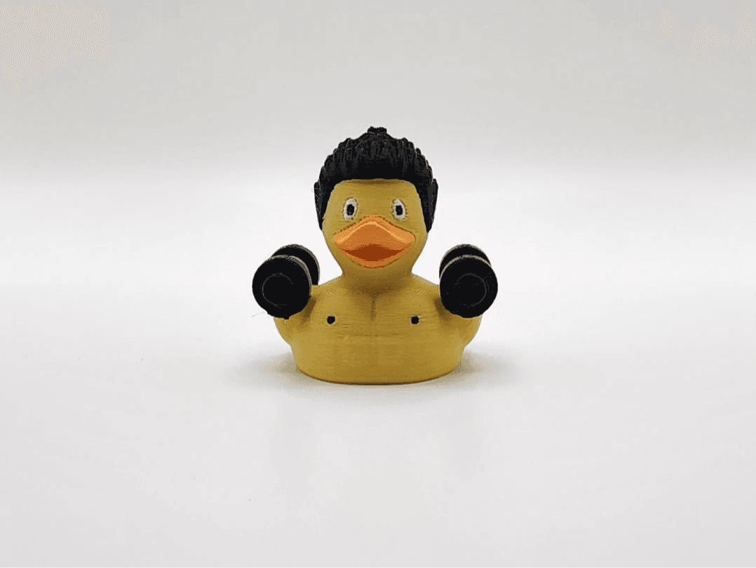 Fitness Duck