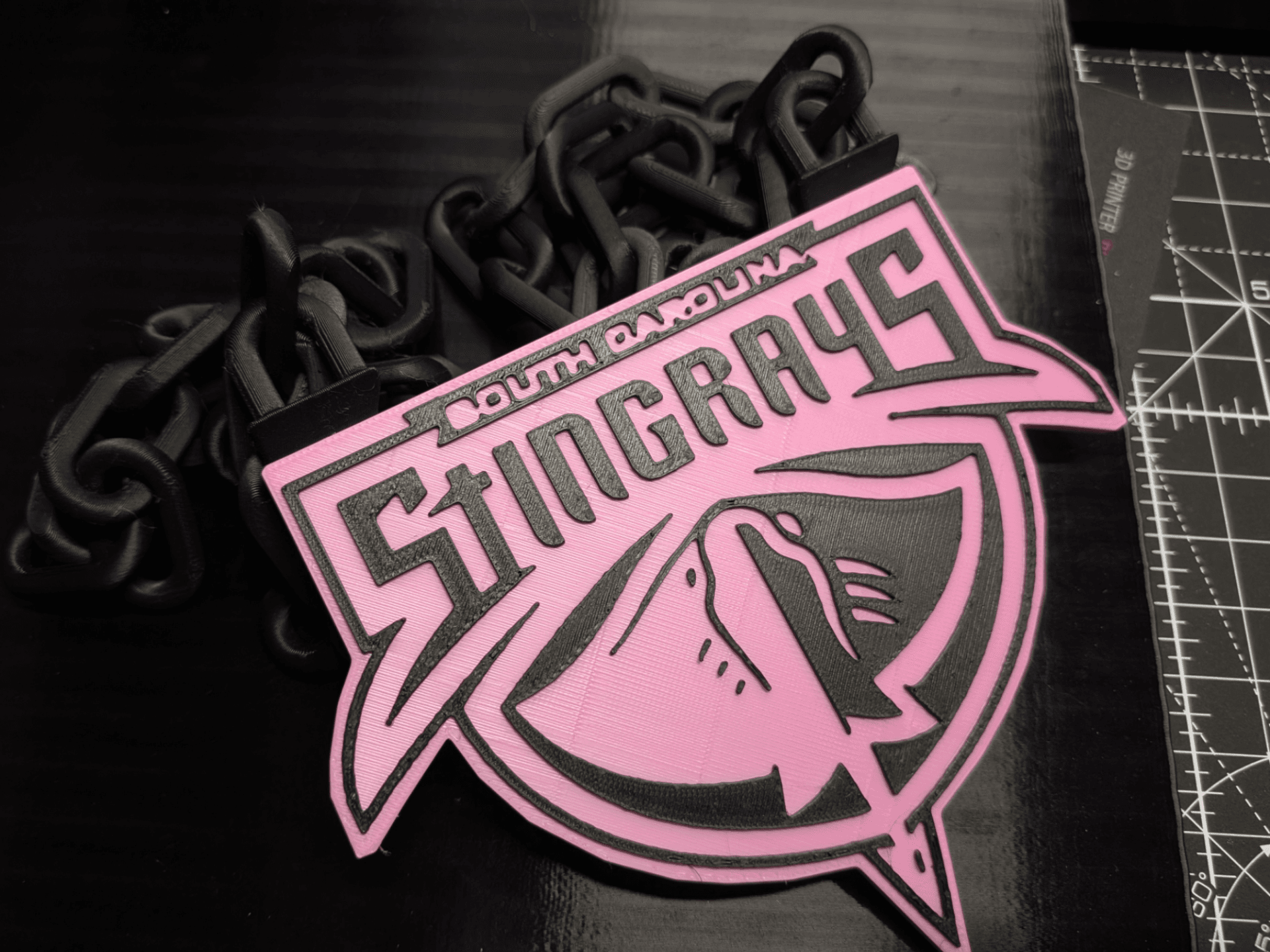 South Carolina Stingrays Medallion