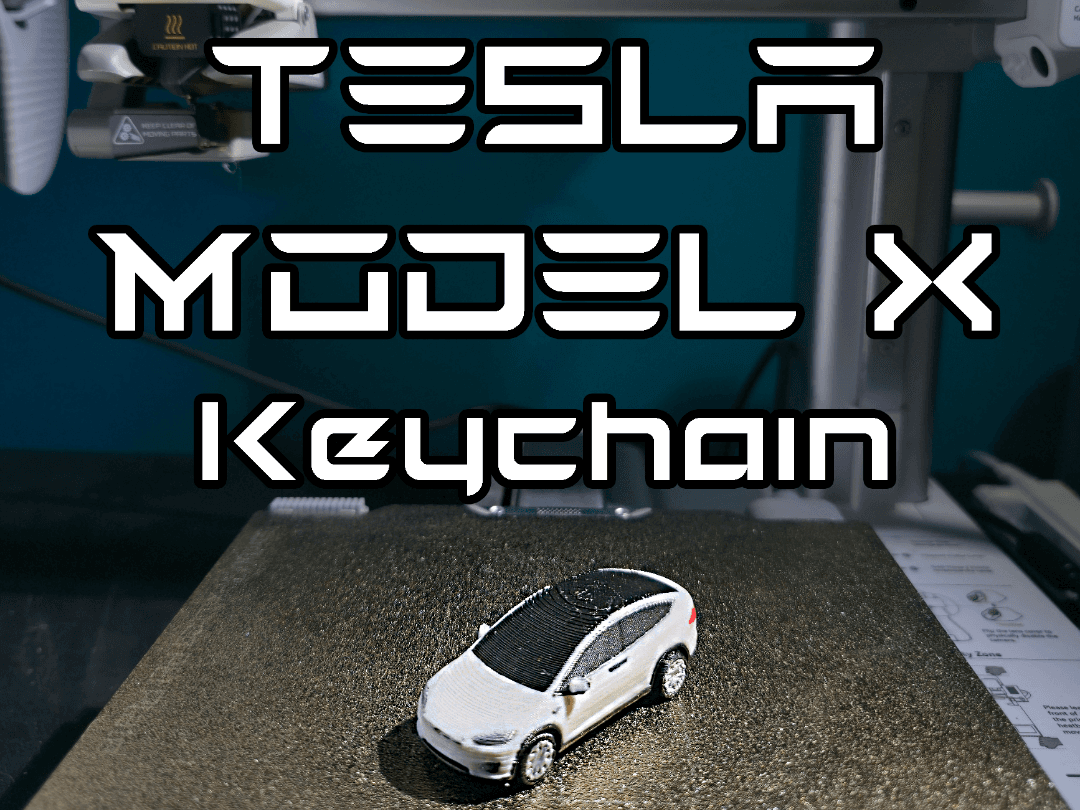 Tesla Model X Keychain (PIP WW)