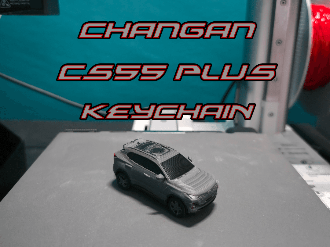 Changan CS55 Plus Keychain (PIP WW)