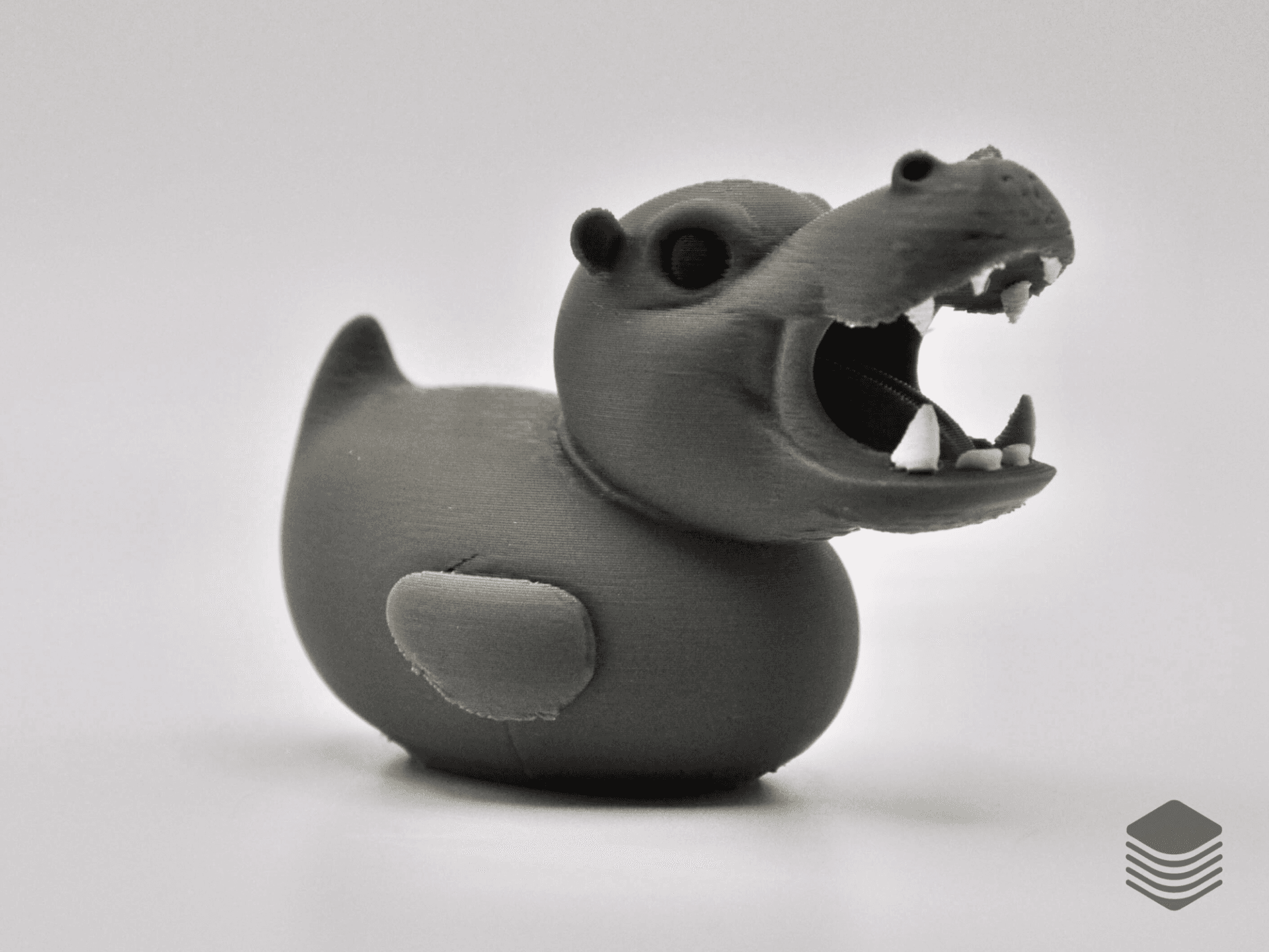 Hippo Duck