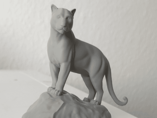 Majestic Black Panther on Rock – Highly Detailed