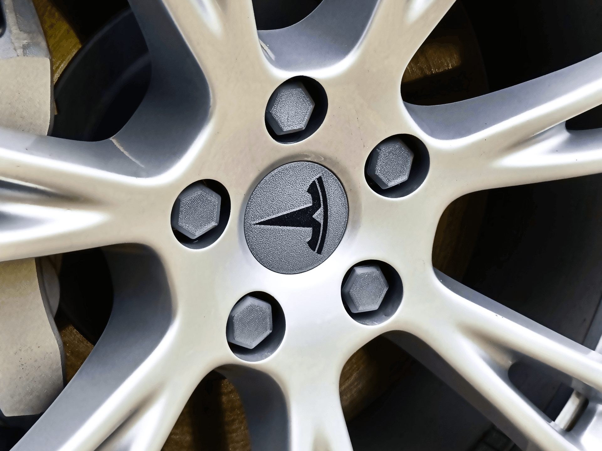 Tesla Gemini Wheel Center Cap