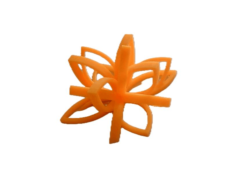 Lotus Flower