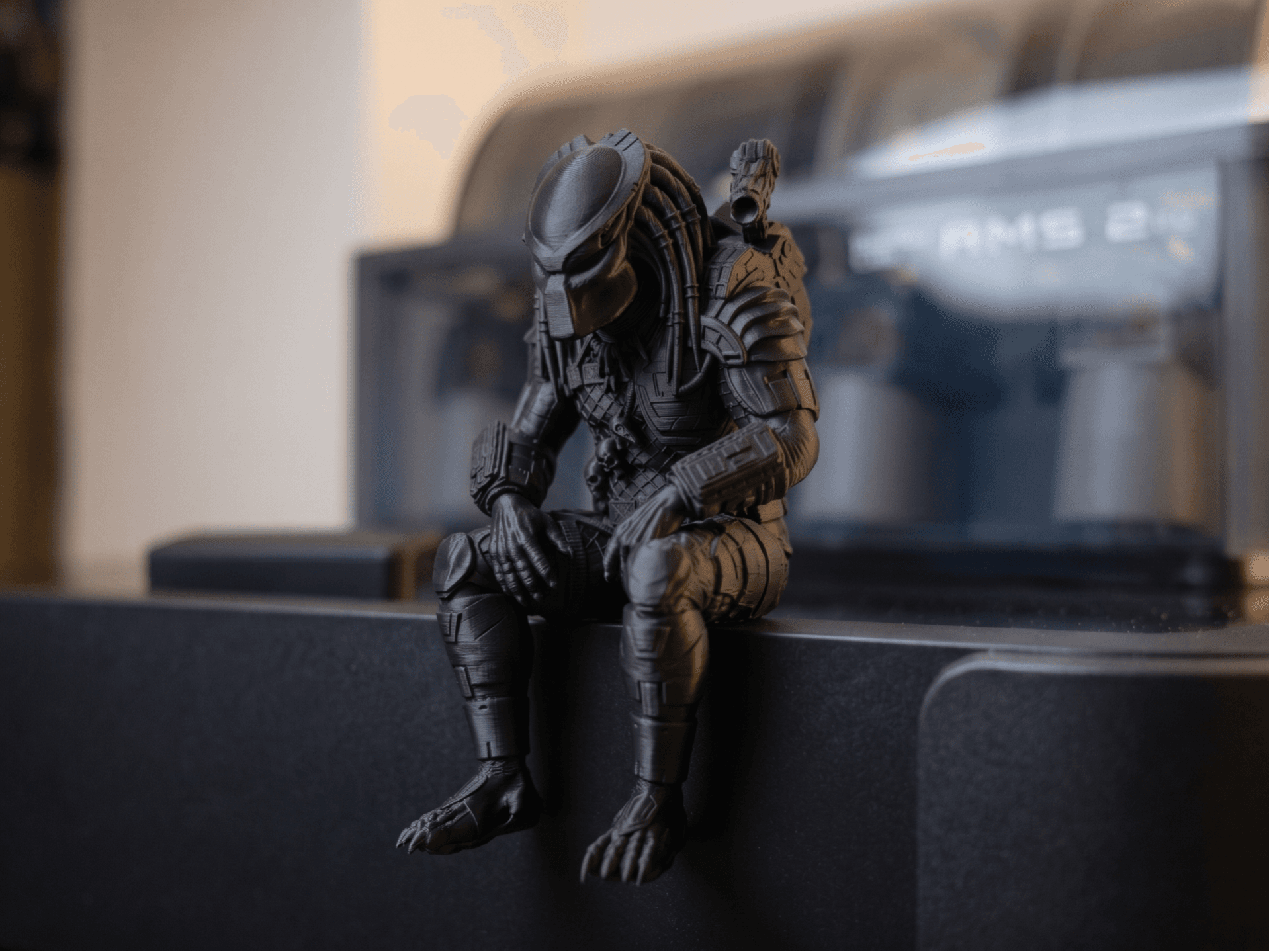 Sitting Predator - Contemplative Shelf
