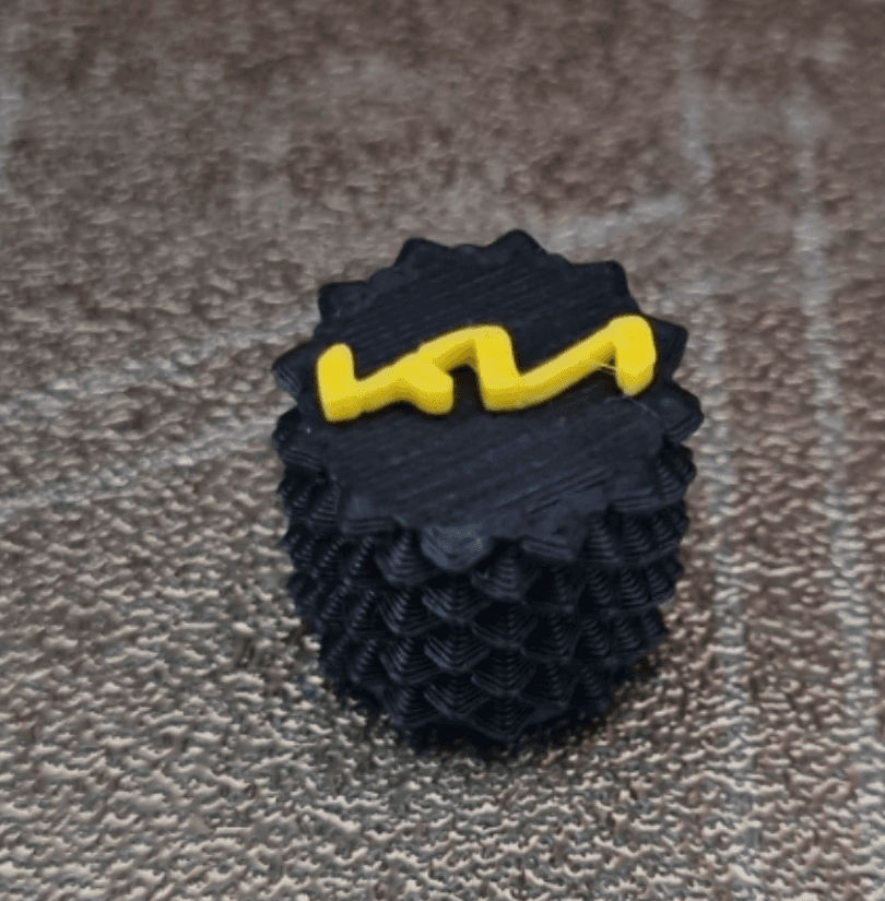 Tire Valve cup KIA
