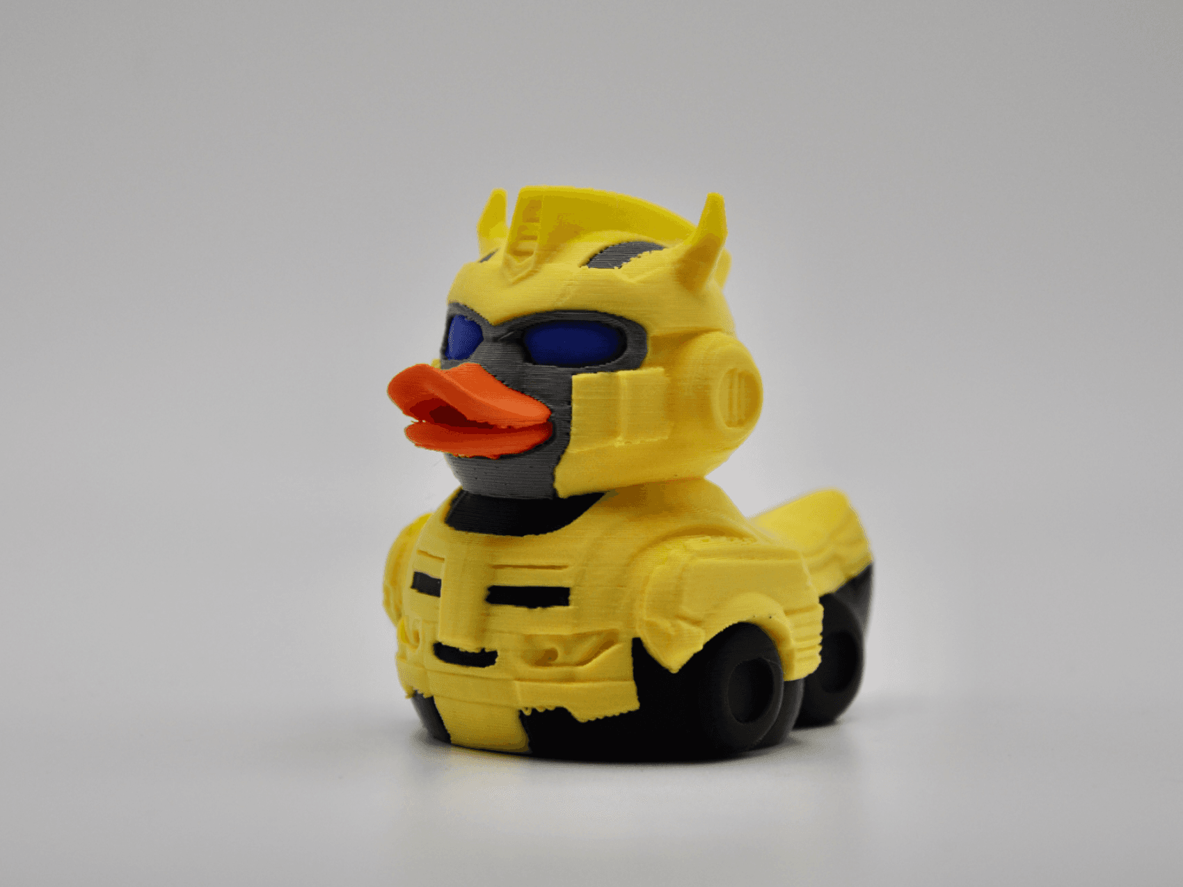 Bumblebee Duck