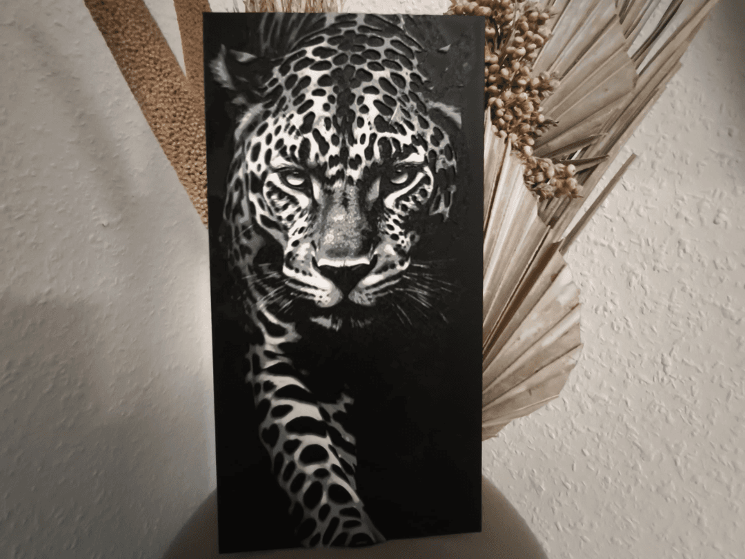 Wild Leopard Cat 3D