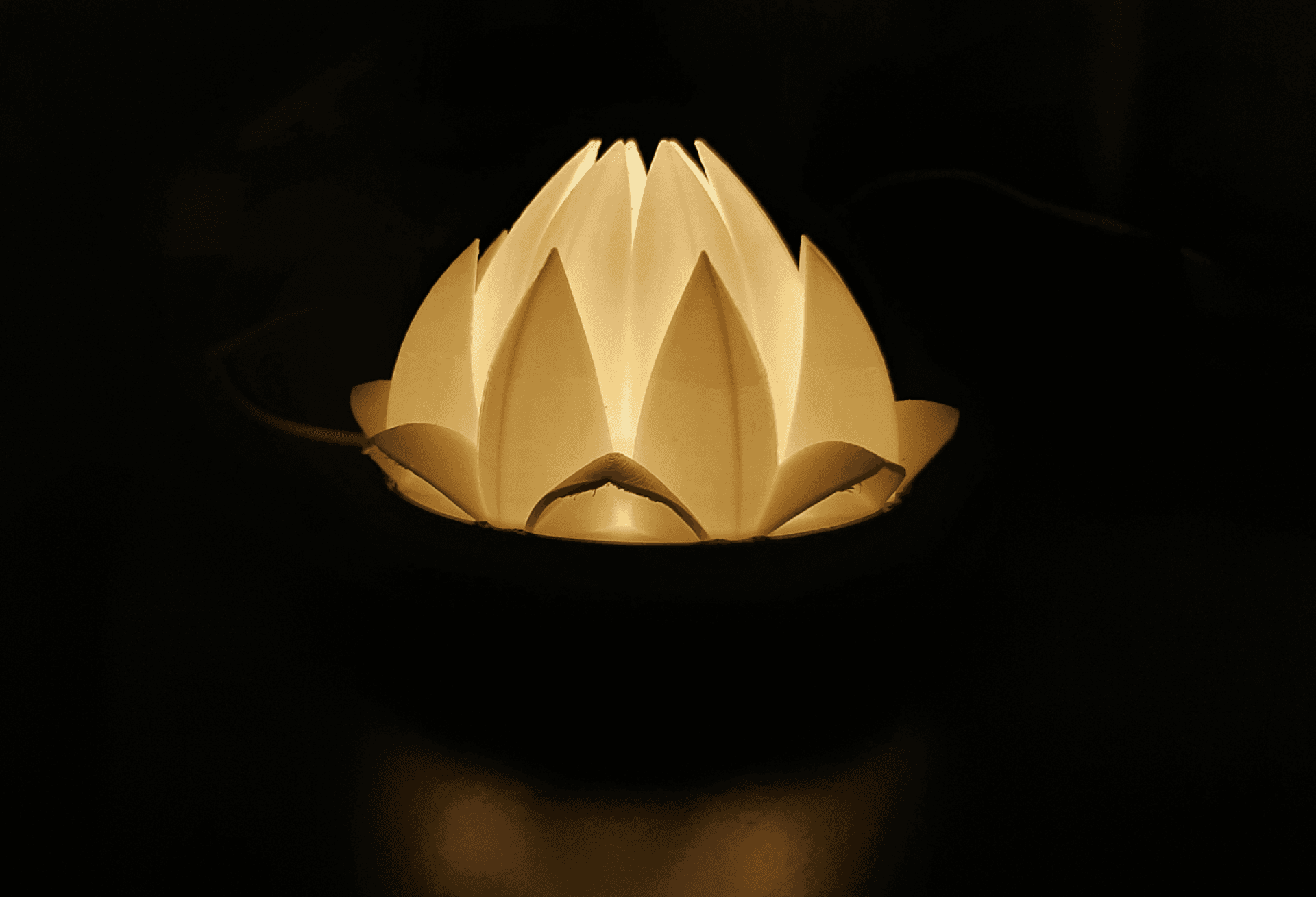 Lotus flower fixture  - LED Kit 001
