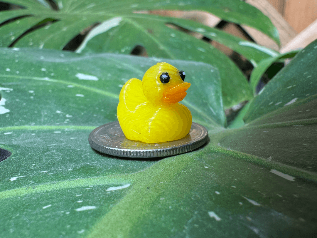 Micro Duckies