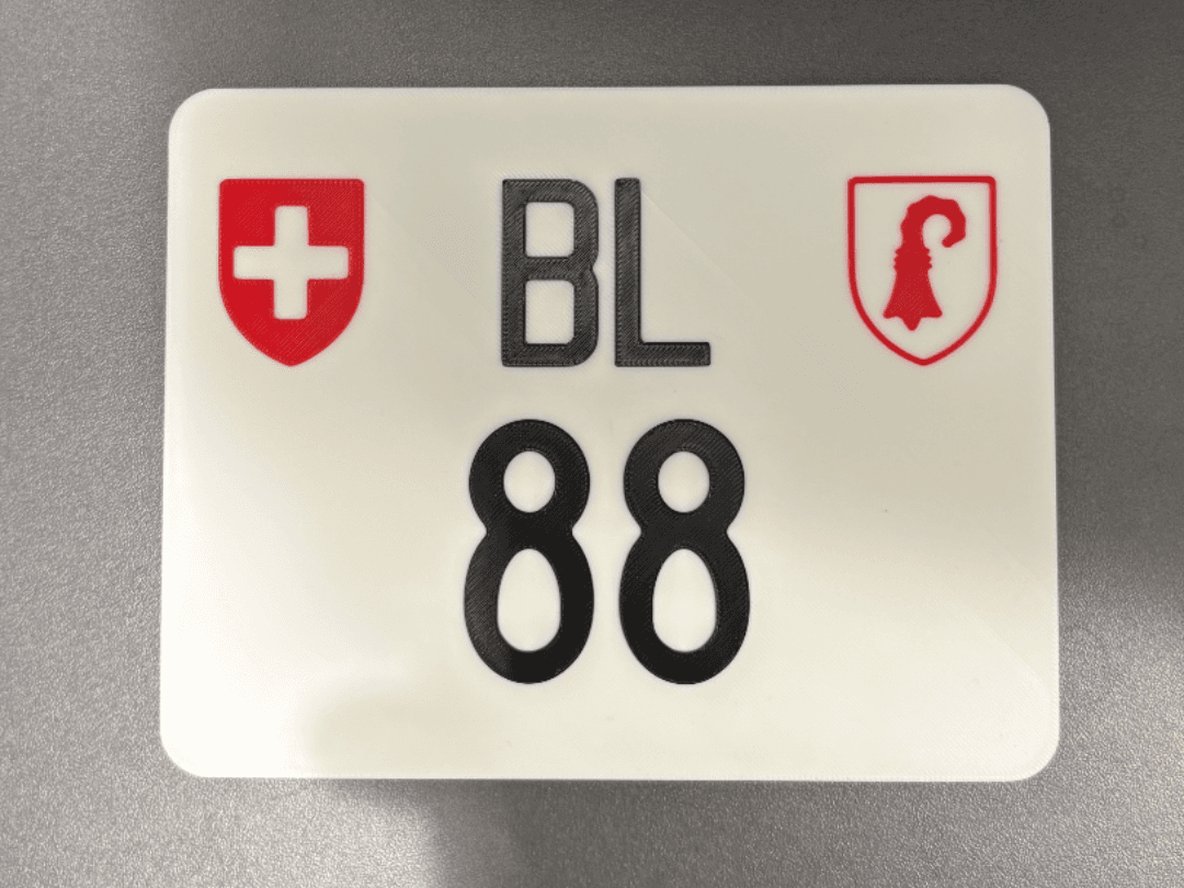 Fake-License-plate
