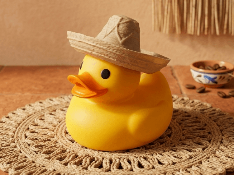 Señor Quack, Mexican Sombrero Duck, Cruise Jeep