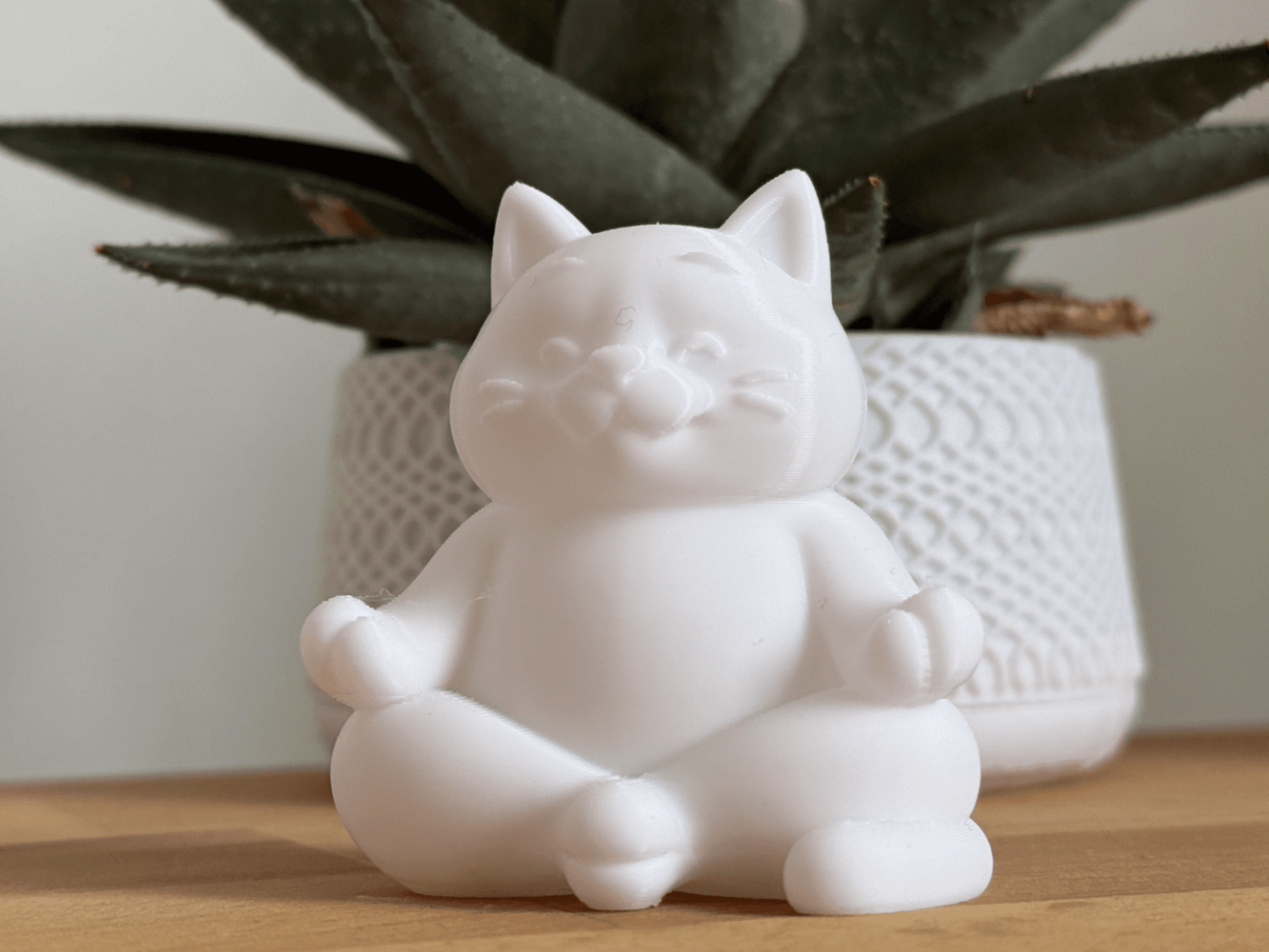 Zen Cat in Lotus Pose – Meditating Yoga Kitty 