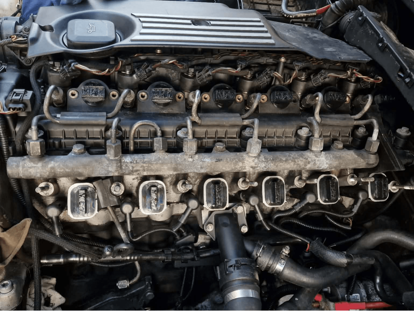 BMW M57 dummy plugs