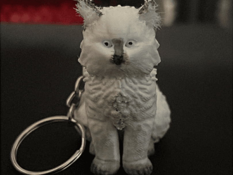 mr kittty cat keychain or desk decor 