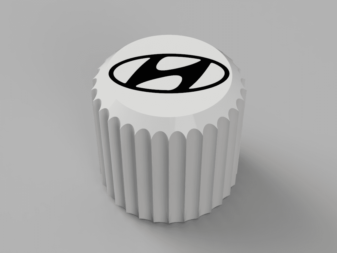 Valve Cap Hyundai