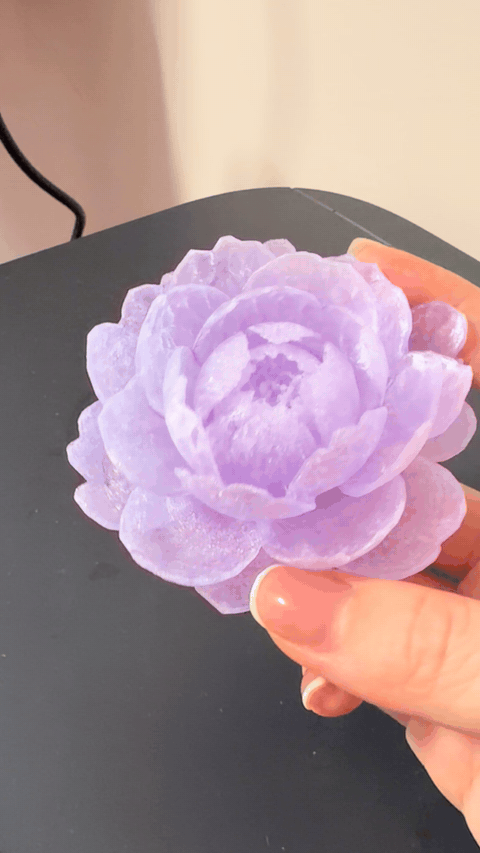 透明牡丹芍药 / Fingertip Peony Gift Flower