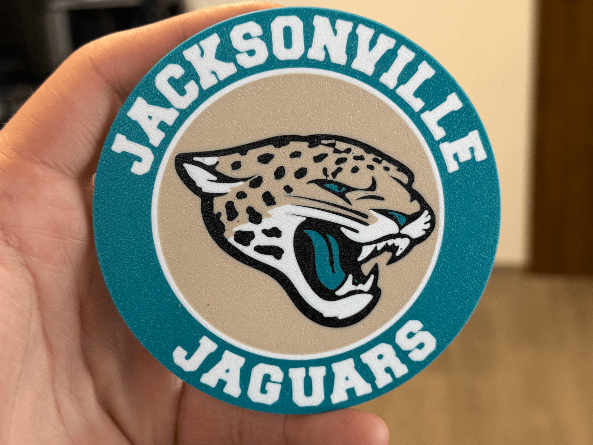 Jacksonville Jaguars NFL coaster