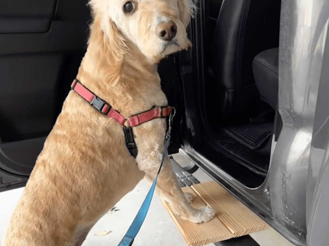 Dog Step for Gen 3 Toyota Tacoma Running Board