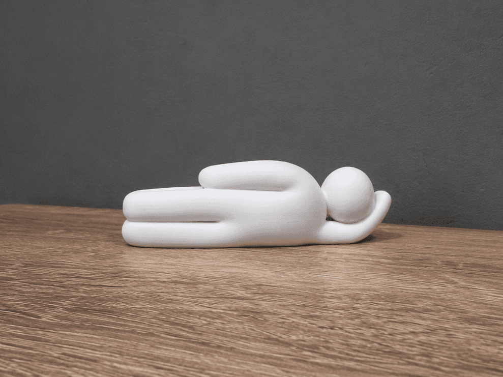 MECCHA CHAMELEON - Lying - Decor