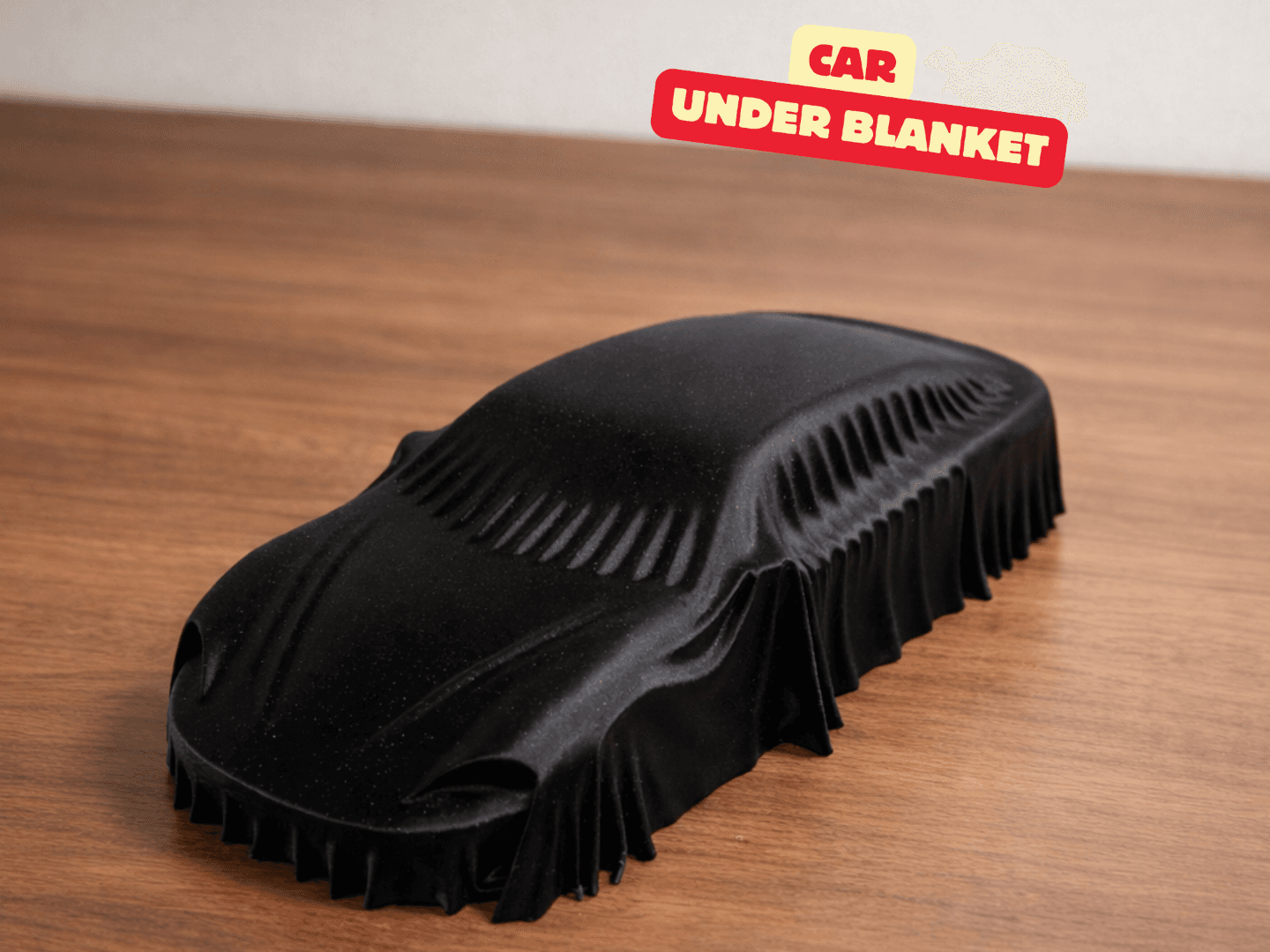 CAR UNDER BLANKET / DESIGNER CAR DECOR