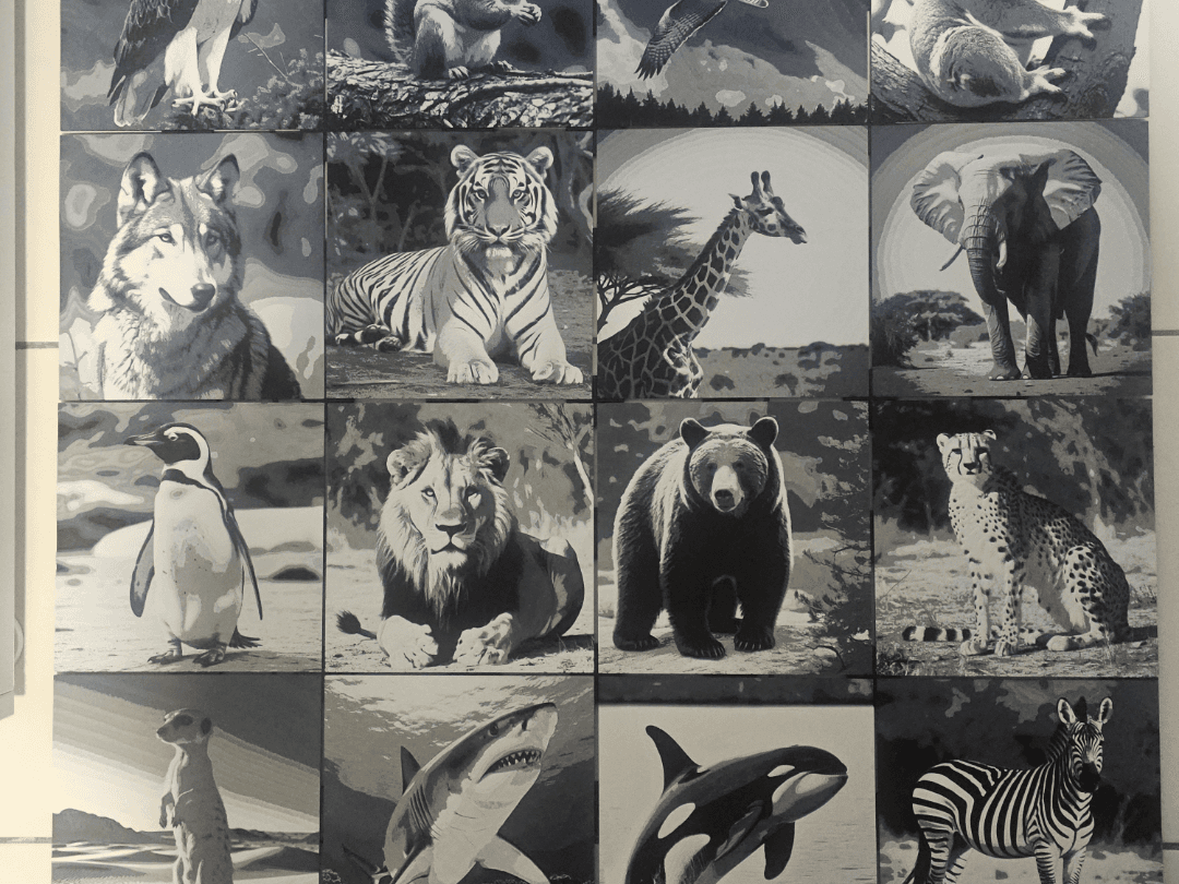 Wildlife Collage Wildtiere Teil 2
