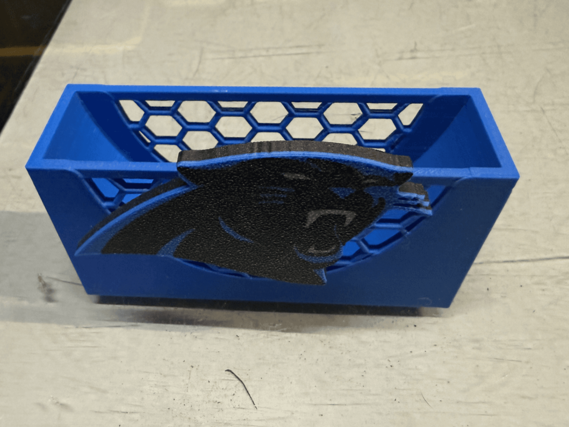 Carolina Panthers Coaster Holder