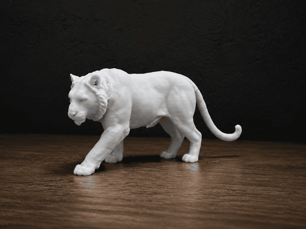 Tiger - Animal - Africa 