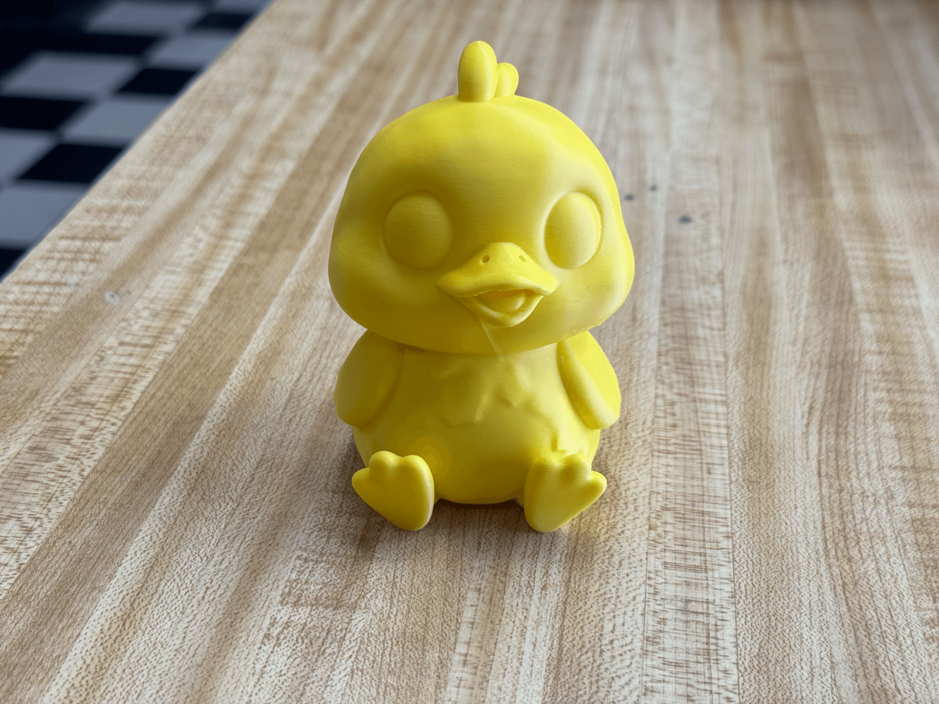 THE SUNNY DUCKLING!