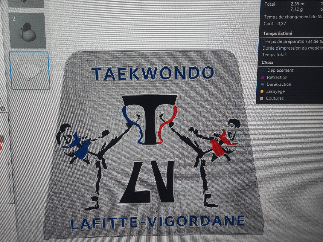 Taekwondo Lafitte Vigordane