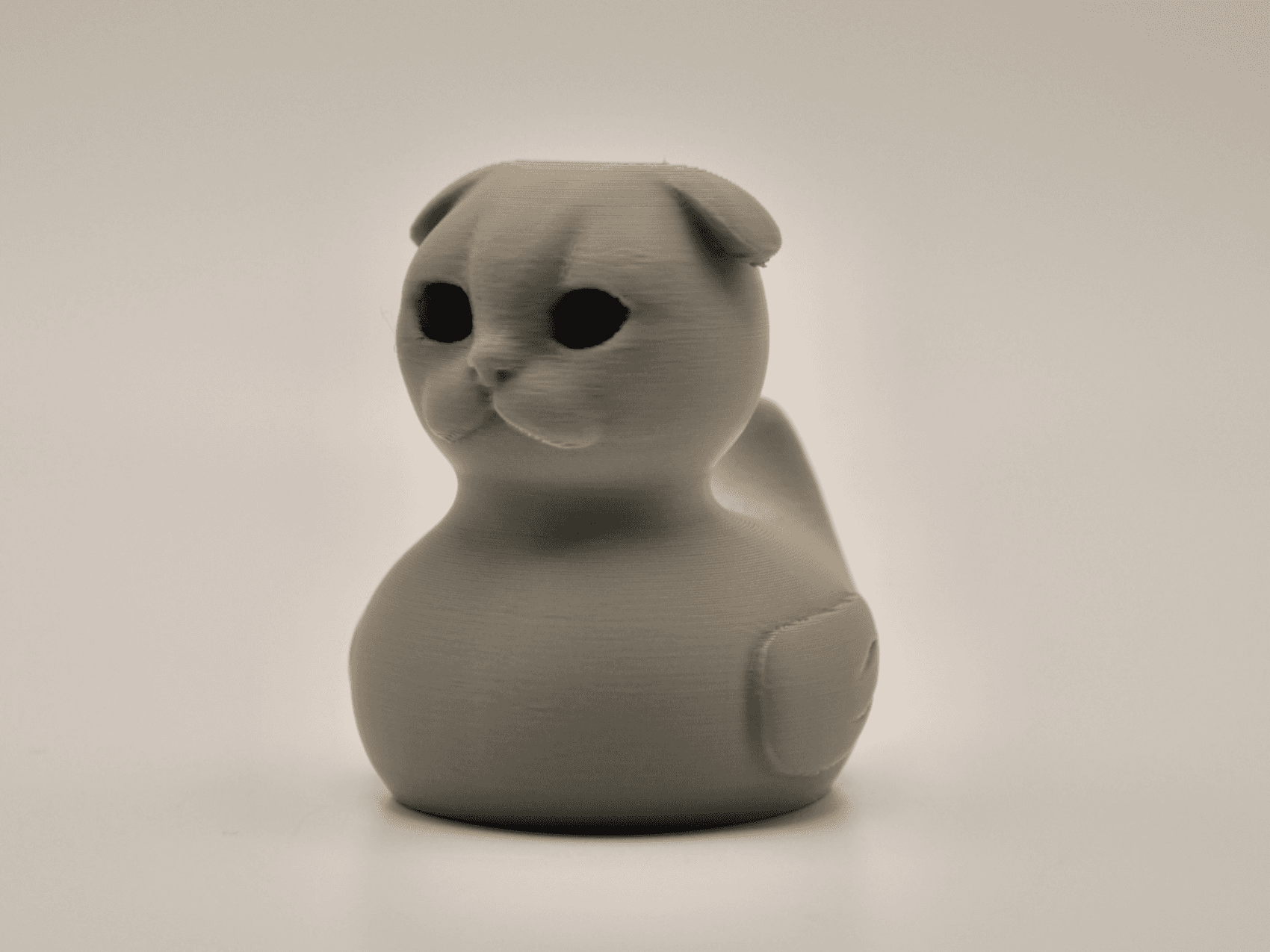 Scottish Fold Cat Duck