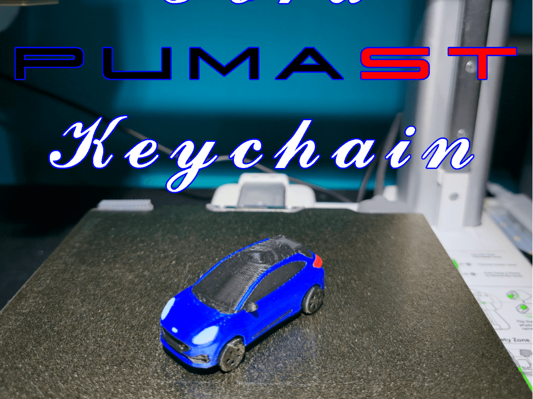 Ford Puma ST Keychain (PIP WW)
