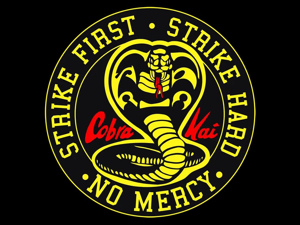 Cobra Kai Strike First Coaster