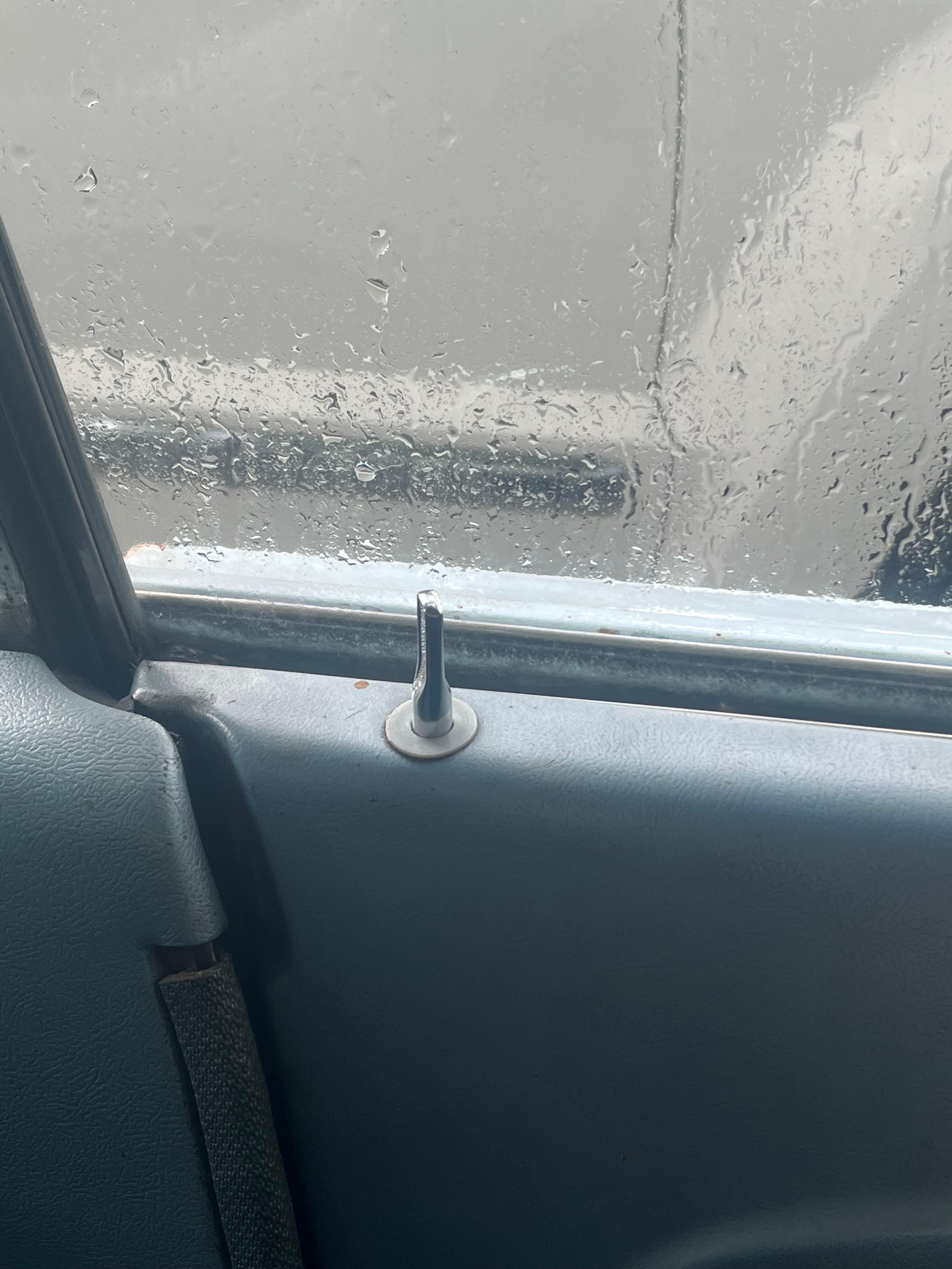Mustang door lock grommet