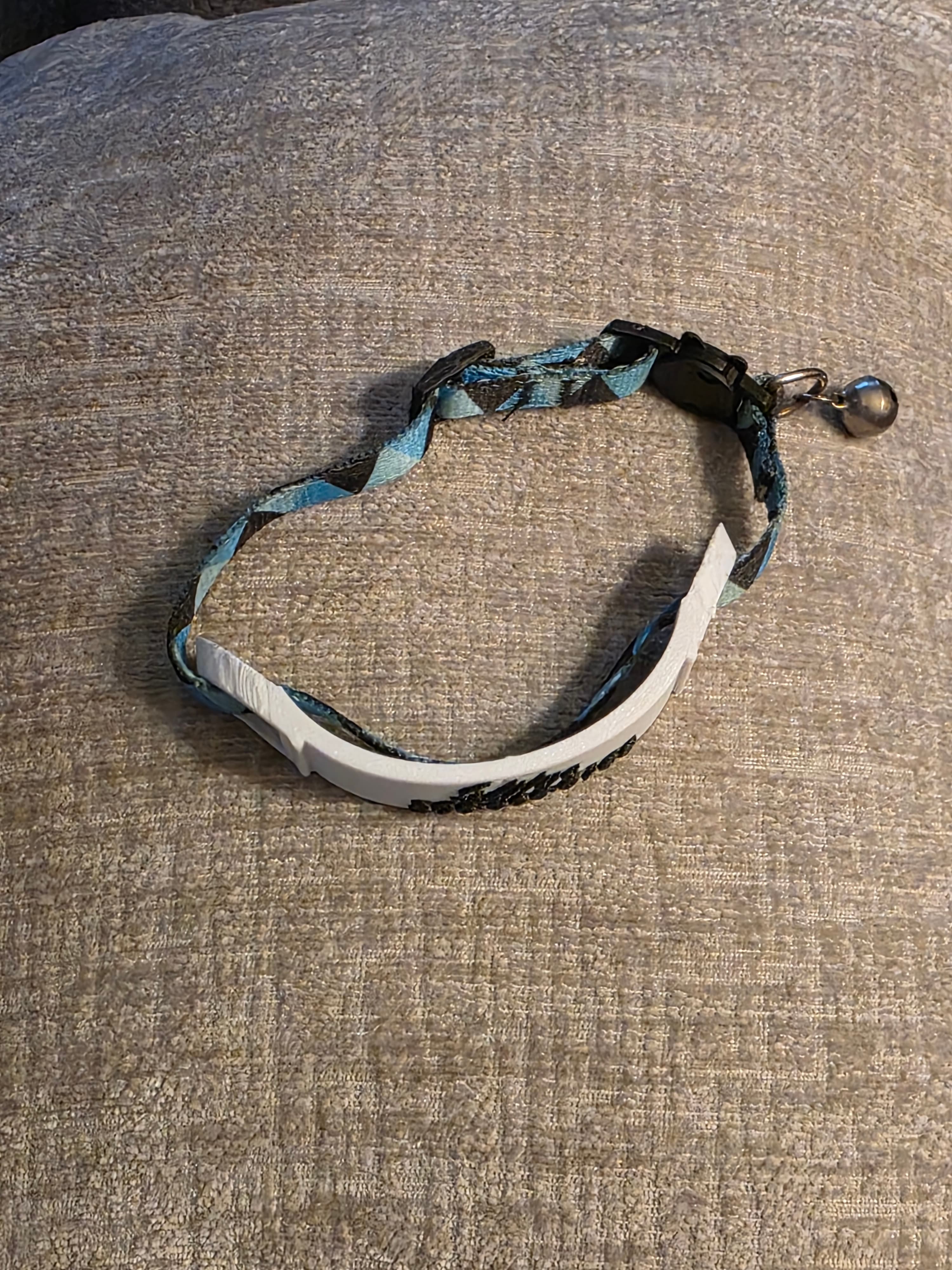 Tag for collar