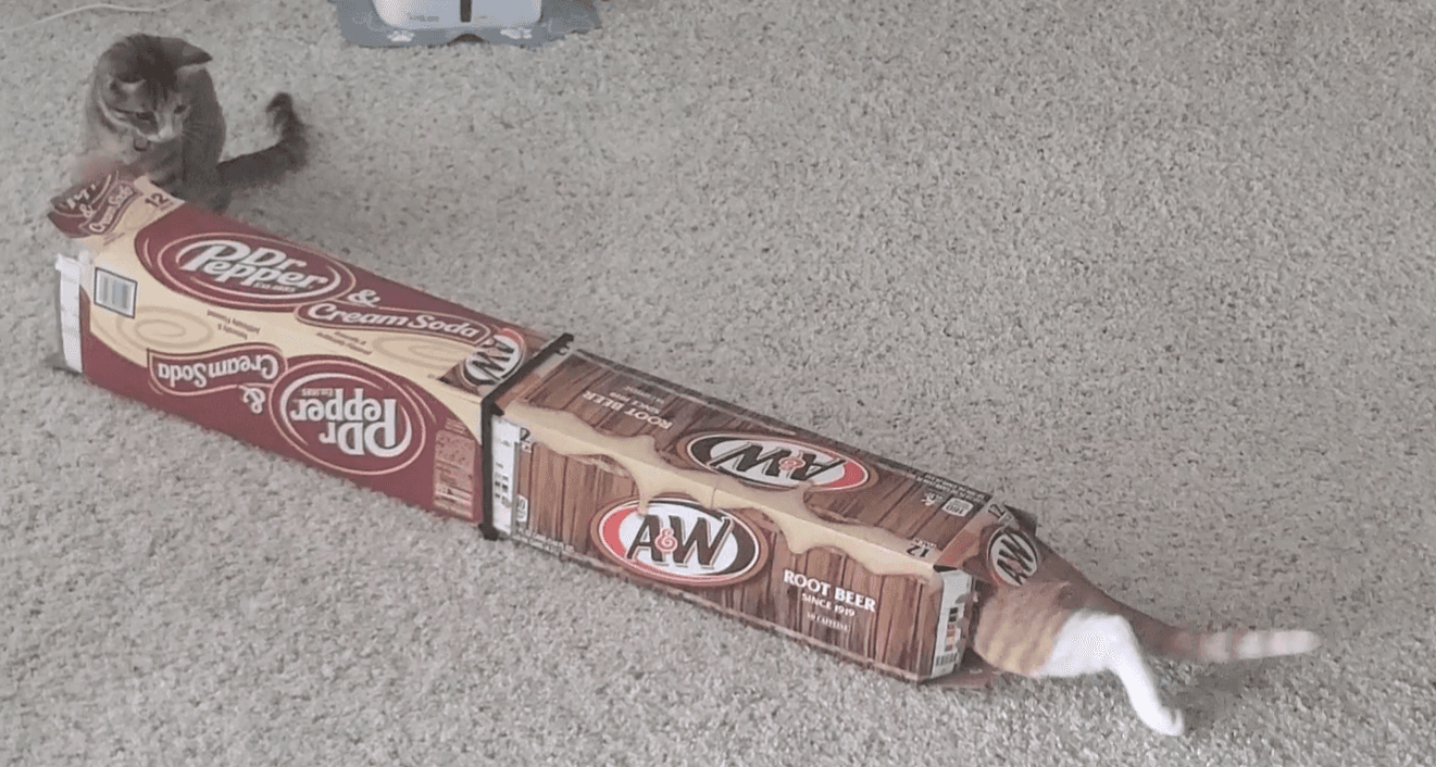 Connector For 12-Pack Cardboard Soda Box Cat Tunnels